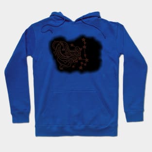 zodiac sign virgo Hoodie